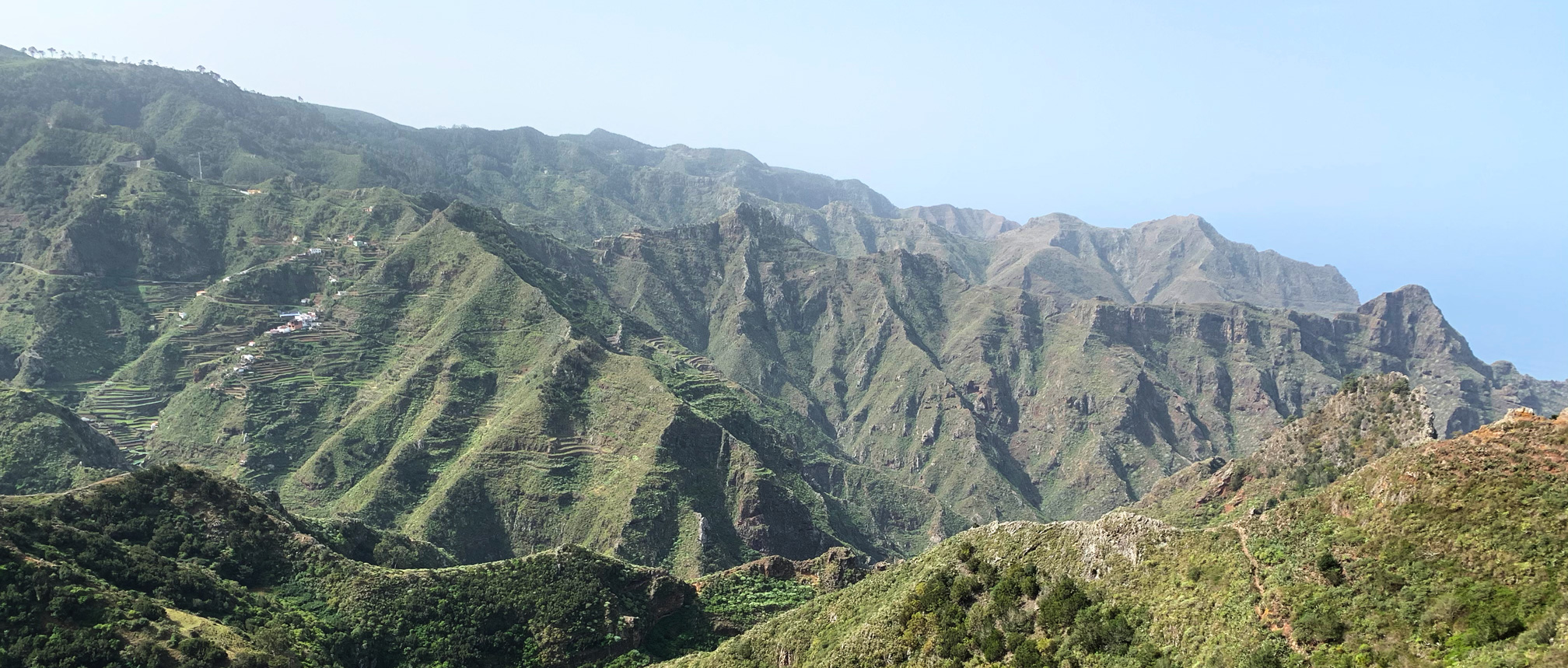 Canary Islands, Tenerife: Parque Rural de Anaga. Circular route of Las Carboneras - Chinamada