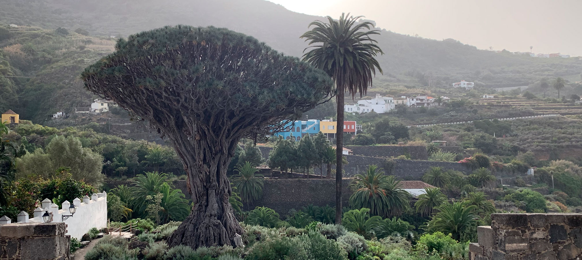 Illas Canarias, Tenerife: Puntos de interese turístico